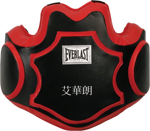Everlast MMA Advanced Body Protector