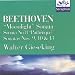 Piano Sonatas 8, 9, 10, 13, 14 - Beethoven