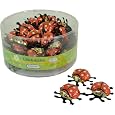 Riegelein Mini Ladybugs Foil Wrapped Chocolate - 60 pcs