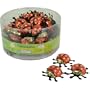 Riegelein Mini Ladybugs Foil Wrapped Chocolate - 60 pcs - 33% cacao