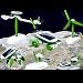6 in 1 Solar Educational Kit Boat Fan Car Robot Toy Kids Toys Gift Game -106 RS.270.00