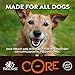 Wellness Core Superfood Protein Bars Natural Grain Free Dog Treats, Salmon & Whitefish, 5.5-Ounce Bag