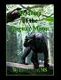 Mystery of the Jaguar Moon (A Novel Curriculum)