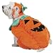 Zack & Zoey Polyester Pumpkin Pooch Dog Costume, X-Large, 24-Inch
