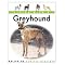 adopt a retired racing greyhound?