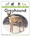 Living with a Greyhound