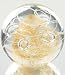 Murano Design Hand Blown Glass Art - Under The Sea Series - Gold Rush Fossil Paperweight
