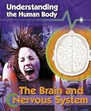 The brain and nervous system