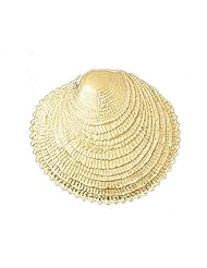 CleverEves 14K Gold Pendant Shell 16.9 - Gram(s)