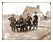Civil War Photo (M): Fort Harrison Va. Group of surgeons of the Army of the James