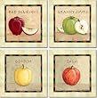 Apples by Donna Jensen - Fruit Ceramic Accent Tile Set 4.25" x 4.25" Kitchen Backsplash