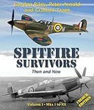 Spitfire survivors : then and now