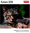 Katzen, Postkartenkalender 2009