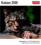 Katzen 2009: Kalender mit 53 heraustrennbaren Postkarten