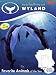 Books : Step-by-Step Painting with Wyland: Favorite Animals of the Sea (Wyland Art Series)