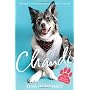 Chandi: The rescue dog who stole a nation's heart by Tina Humphrey