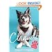 Chandi: The rescue dog who stole a nation's heart