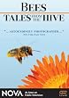 Nova Bees Tales from the Hive