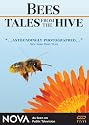 NOVA: Bees - Tales From the Hive
