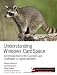 Understanding Windows CardSpace: An Introduction to the Concepts and Challenges of Digital Identities