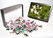 Photo Jigsaw Puzzle of White Avalanche Lily from Ardea Wildlife Pets