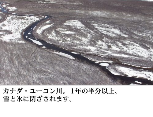 世界の大河 World River Cruising~河から見る世界遺産、秘境、壮大な大自然の数々~ [DVD]