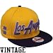NEW ERA NBA Retro Los Angeles Lakers Snapback Hat, Gold/Purple