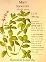 Spearmint Mint