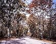 Along Skyline Drive Photograph - Beautiful 16x20-inch Photographic Print by Carol M. Highsmith