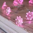 Indoor Fairy Lights, 40 Pink Sunflower LED