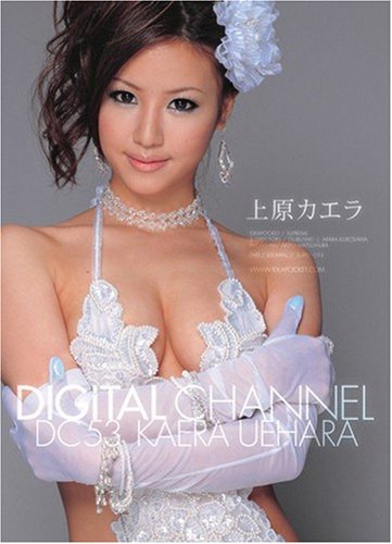 DIGITAL CHANNEL �帶������ �����ǥ��ݥ��å�