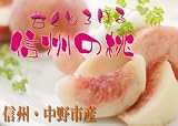 甘味たっぷり！信州・中野市産☆水蜜桃２．５ｋｇ
