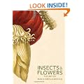 Insects and Flowers: The Art of Maria Sibylla Merian