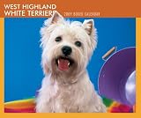 West Highland White Terriers 2009 Desk Calendar