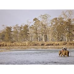 Guests at the Island Jungle Resort Hotel Take an Elephant Safari Across a River, Nepal