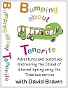 Bumping About Tenerife - Adventures on the Titsa Bus Services