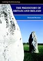 The Prehistory of Britain and Ireland (Cambridge World Archaeology)