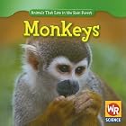 Monkeys (Animals That Live in the Rain Forest) by Julie Guidone