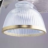 Westinghouse Lighting 81092 Clear Ribbed Ceiling Fan Shade with Gold Trim
