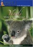 Yindi the Last Koala