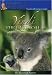 Yindi the Last Koala
