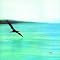 My Music for You ( Chick Corea Return to Forever )
