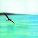 Return to Forever/Chick Corea