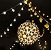 Naisidier 40 LED Battery Operated String Lights 14ft Warm Color for Garden Party and Holiday Decoration (Warm White)