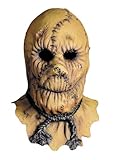 Scarecrow Mask