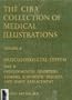 The Ciba Collection of Medical Illustrations Volume 8 Musculoskeletal System Part II Developmental Disorders, Tumors, Rheumatic Diseases, and Joint Replacement