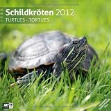 Schildkröten 2012 Art12 Collection: Broschürenkalender