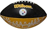 Pittsburgh Steelers Team Logo Mini Football