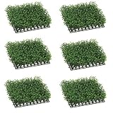 Six 3"Hx10"Wx10"L Boxwood Mat Green