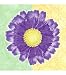 Canvas Wall Art-Aster Daisy/Fun Flower